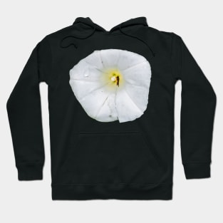 white flower and insect Hoodie